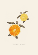 Turtleton & Lemonella