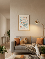 Felis Silvestris Catus