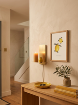 Turtleton & Lemonella